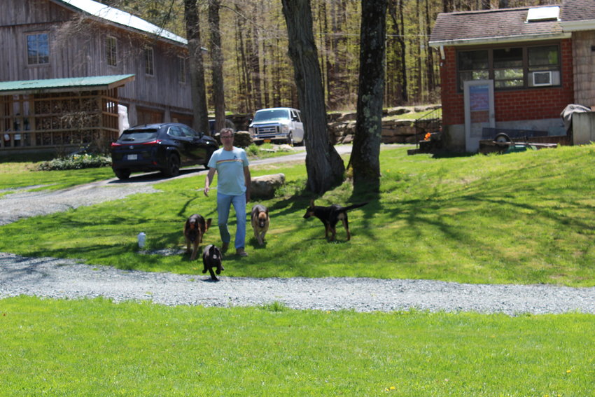 GraceLand Farm. Dogs frolic around Adam Guziczek.